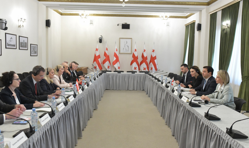 Aussprache. Linke Bildhälfte: Österreichische Delegation unter der Leitung von Bundesratspräsidentin Claudia Arpa (SPÖ)(3. von links). Rechte Bildhälfte : Georgische Delegation unter der Leitung von Artschil Talakwadse (2. von rechts)