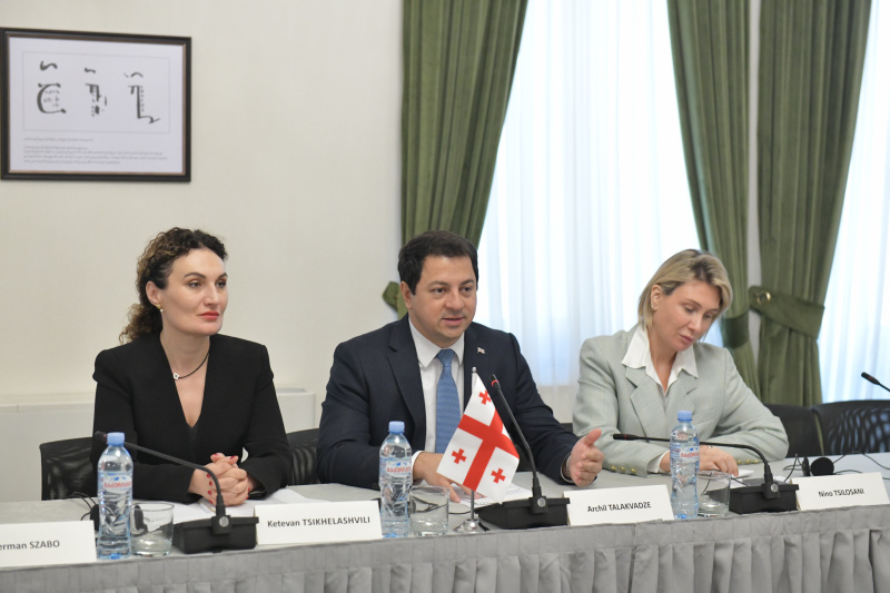 Aussprache. Georgische Delegation unter der Leitung von Artschil Talakwadse (2. von rechts)