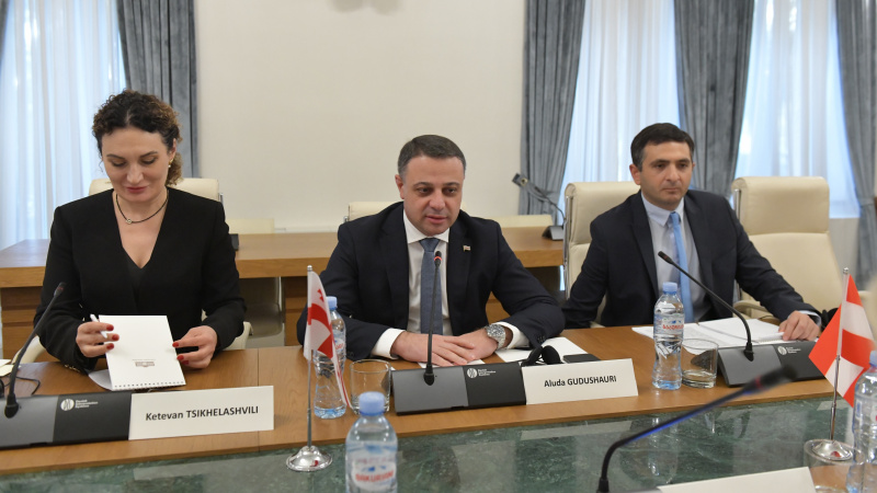 Aussprache. Georgische Delegation unter der Leitung von Aluda Gudushauri (MItte)