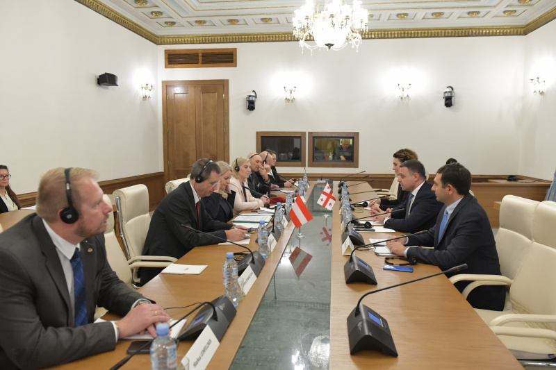 Aussprache. Linke Tischhälfte: Österreichische Delegation unter der Leitung von Bundesratspräsidentin Claudia Arpa (SPÖ) (3. von links). Rechte Tischhälfte: Georgische Delegation unter der Leitung von Aluda Gudushauri (2. von rechts)