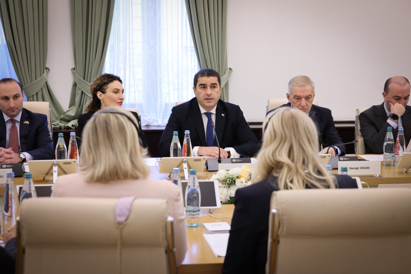Aussprache. Georgische Delegation unter der Leitung des Präsidenten des georgischen Parlaments Shalva Papuashvili (Mitte)
