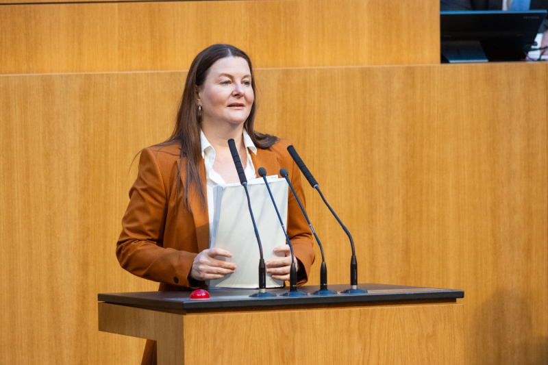 Am Rednerpult Nationalratsabgeordnete Karin Doppelbauer (NEOS)