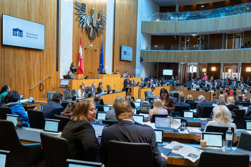 Am Rednerpult Nationalratsabgeordneter Kai Jan Krainer (SPÖ)