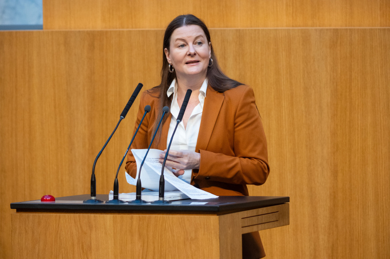 Am Rednerpult Nationalratsabgeordnete Karin Doppelbauer (NEOS)