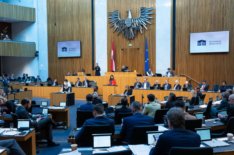 Am Rednerpult Nationalratsabgeordnete Meri Disoski (GRÜNE)