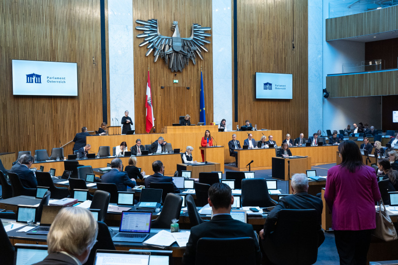 Am Rednerpult Nationalratsabgeordnete Meri Disoski (GRÜNE)