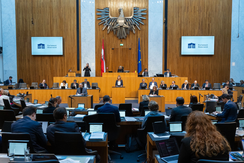 Am Rednerpult Nationalratsabgeordnete Angela Baumgartner (ÖVP)