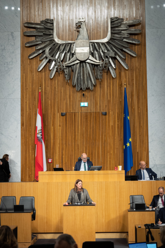Am Rednerpult Nationalratsabgeordnete Katharina Kucharowits (SPÖ)