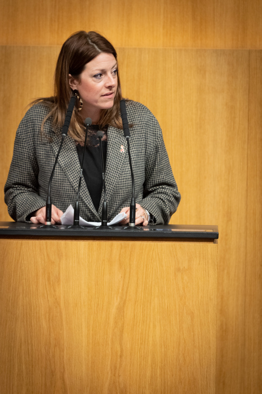 Am Rednerpult Nationalratsabgeordnete Katharina Kucharowits (SPÖ)