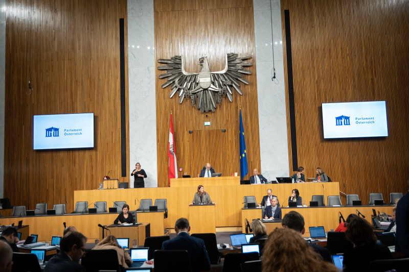 Am Rednerpult Nationalratsabgeordnete Katharina Kucharowits (SPÖ)