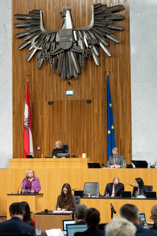 Am Rednerpult Nationalratsabgeordnete Ruth Becher (SPÖ)