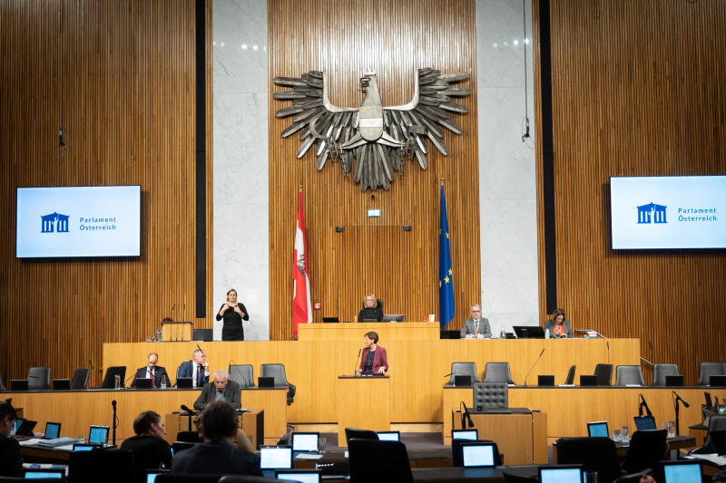 Am Rednerpult Nationalratsabgeordnete Sabine Schatz (SPÖ)