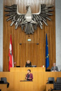 Am Rednerpult Nationalratsabgeordnete Sabine Schatz (SPÖ)