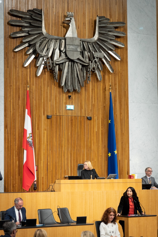 Am Rednerpult Nationalratsabgeordnete Selma Yildirim (SPÖ)