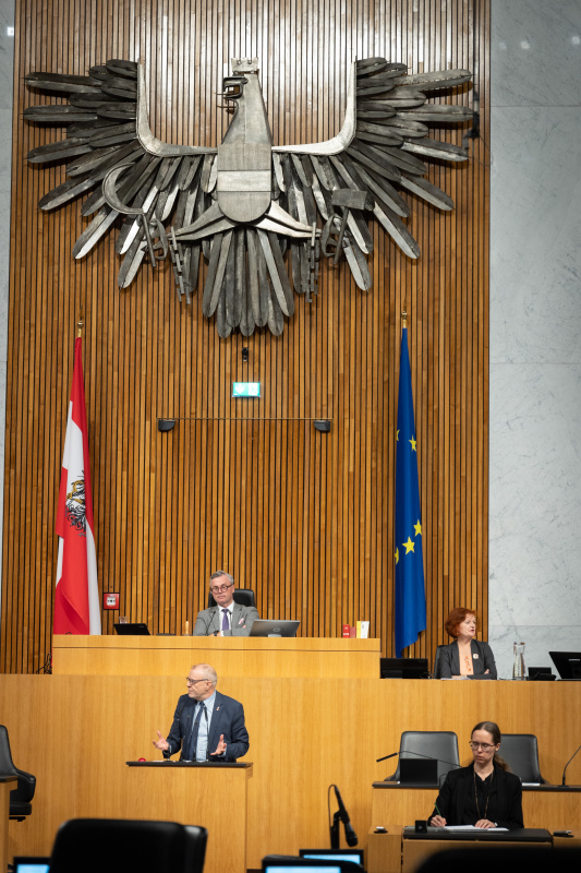 Am Rednerpult Nationalratsabgeordneter Harald Troch (SPÖ)