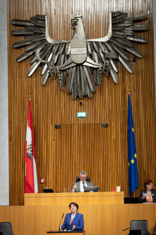 Am Rednerpult Nationalratsabgeordnete Maria Smodics-Neumann (ÖVP)