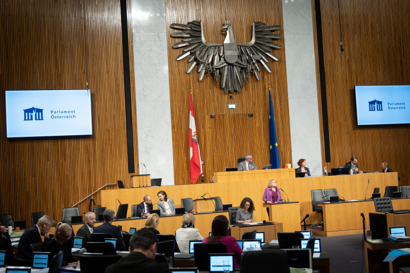 Am Rednerpult Nationalratsabgeordnete Ruth Becher (SPÖ)