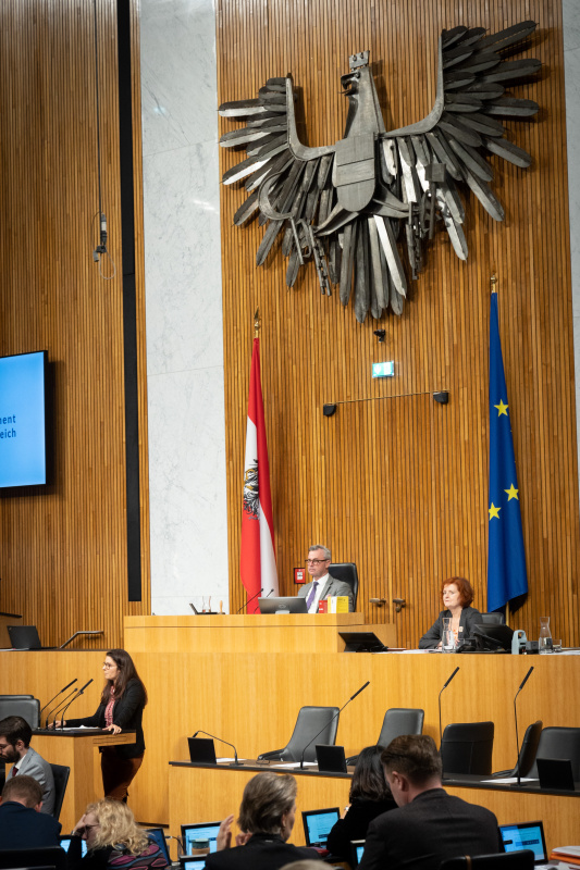 Am Rednerpult Nationalratsabgeordnete Muna Duzdar (SPÖ)