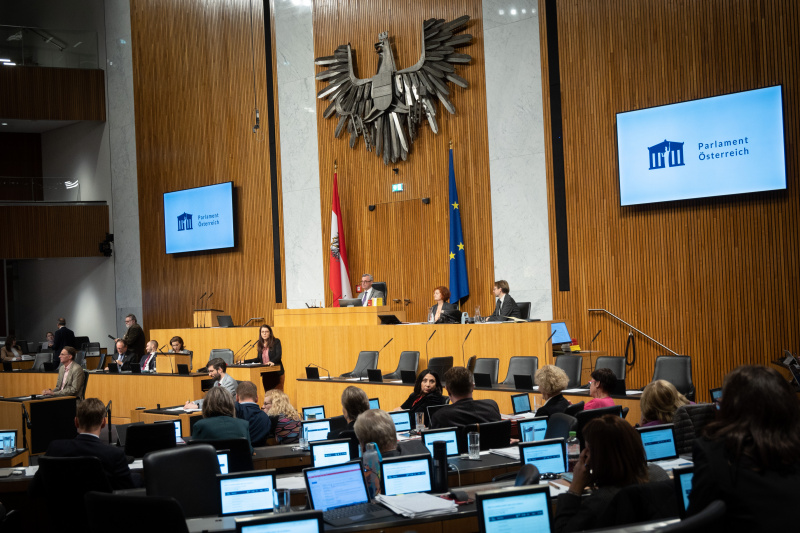 Am Rednerpult Nationalratsabgeordnete Muna Duzdar (SPÖ)