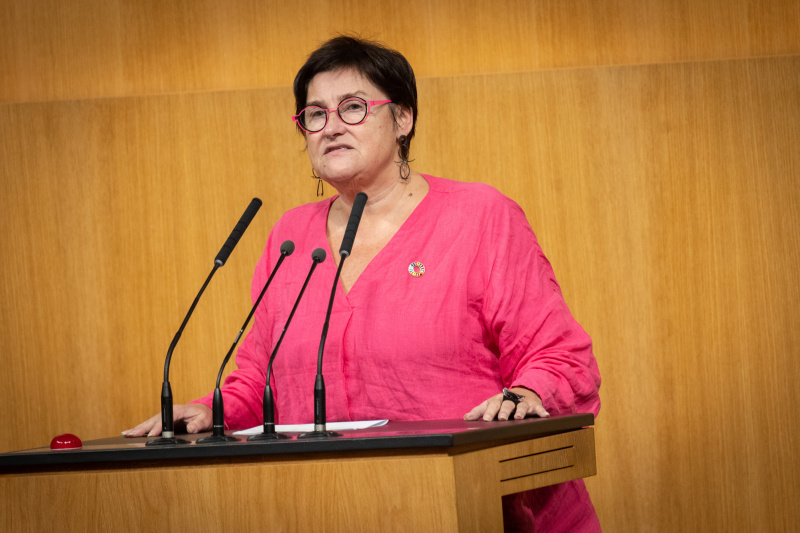 Am Rednerpult Nationalratsabgeordnete Petra Bayr (SPÖ)