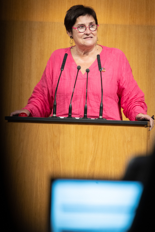 Am Rednerpult Nationalratsabgeordnete Petra Bayr (SPÖ)