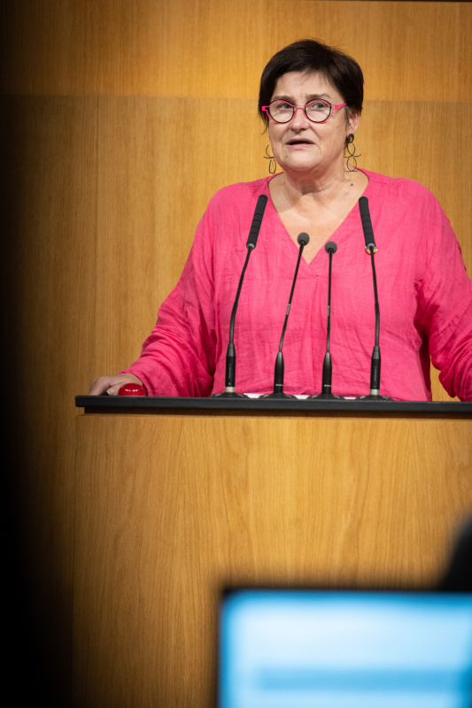 Am Rednerpult Nationalratsabgeordnete Petra Bayr (SPÖ)