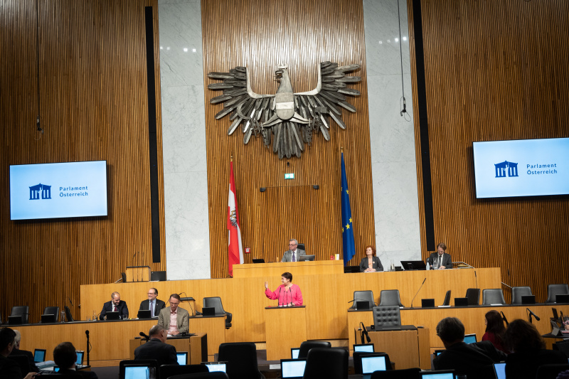 Am Rednerpult Nationalratsabgeordnete Petra Bayr (SPÖ)