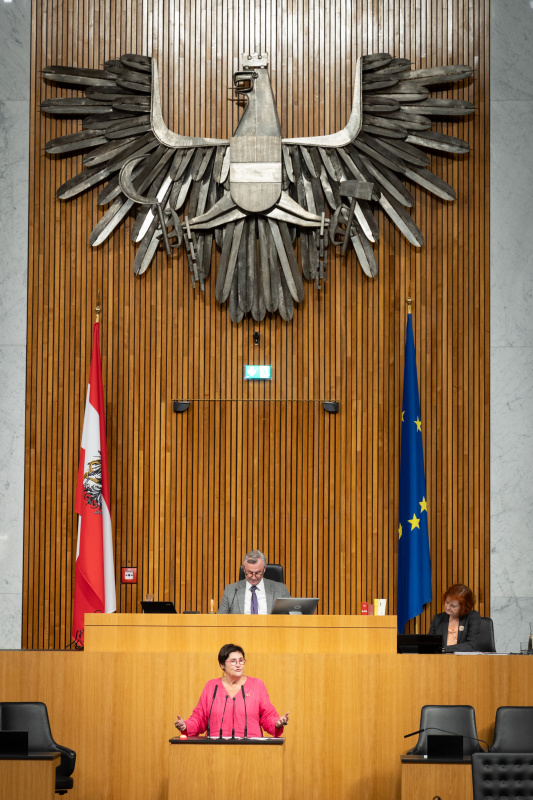 Am Rednerpult Nationalratsabgeordnete Petra Bayr (SPÖ)