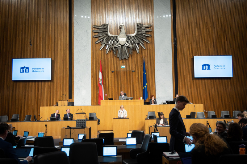 Am Rednerpult Nationalratsabgeordnete Bettina Rausch-Amon (ÖVP)