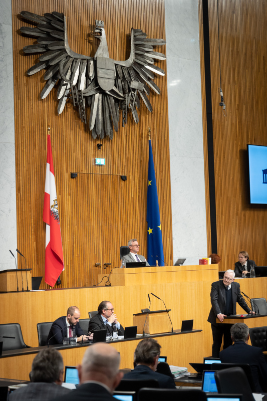 Am Rednerpult Nationalratsabgeordneter Martin Graf (FPÖ)