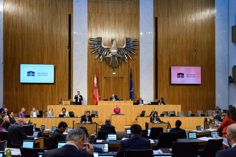 Am Rednederpult Nationalratsabgeordnete Romana Deckenbacher (ÖVP)