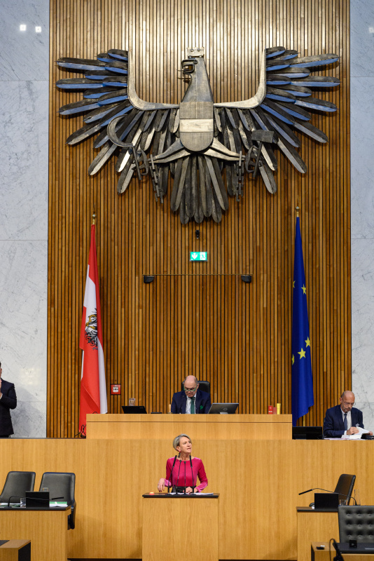 Am Rednederpult Nationalratsabgeordnete Romana Deckenbacher (ÖVP)