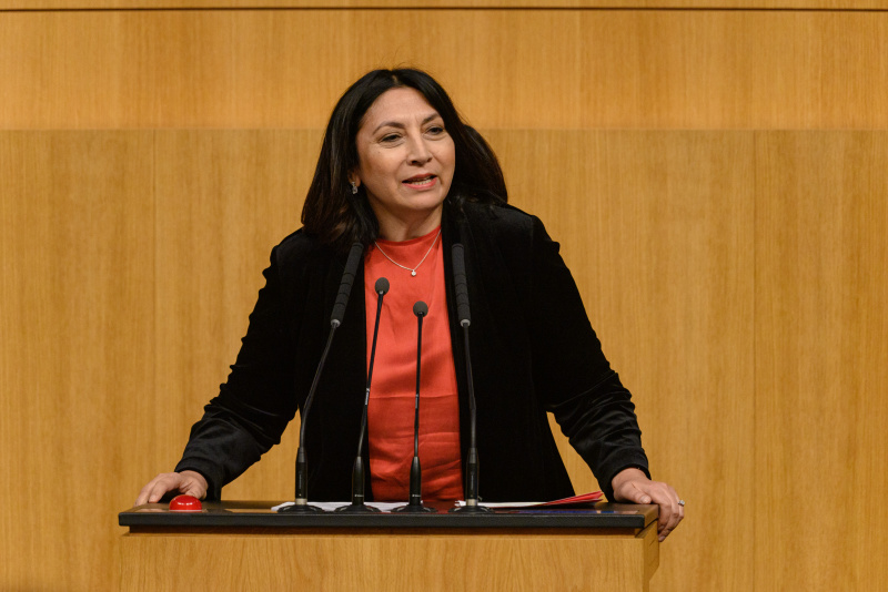 Am Rednerpult Nationalratsabgeordnete Selma Yildirim (SPÖ)