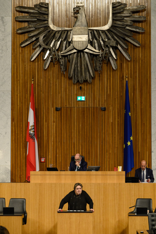 Am Rednerpult Nationalratsabgeordnete Eva Blimlinger (GRÜNE)