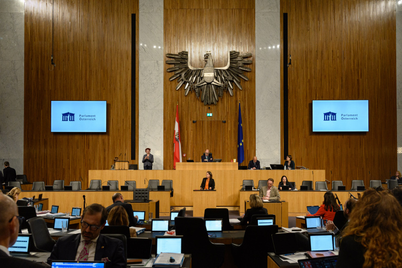 Am Rednepult Nationalratsabgeordnete Julia Seidl (NEOS)