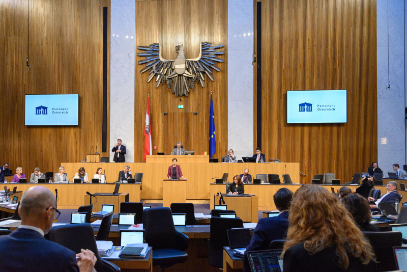 Am Rednerpult Nationalratsabgeordnete Sabine Schatz (SPÖ)