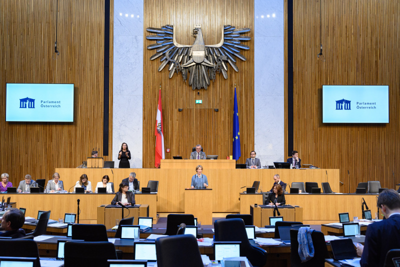 Am Rednepult Nationalratsabgeordnete Stephanie Krisper (NEOS)