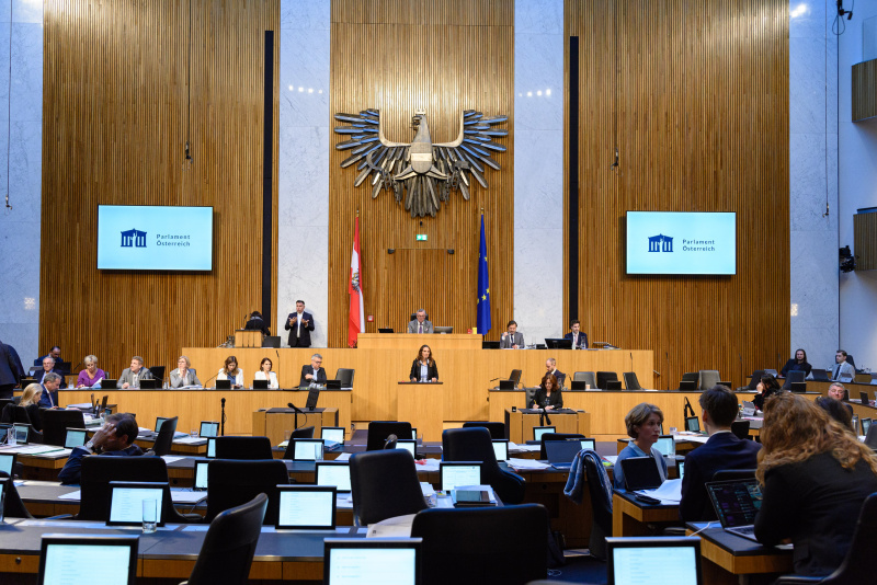 Am Rednerpult Nationalratsabgeordnete Ulrike Fischer (GRÜNE)