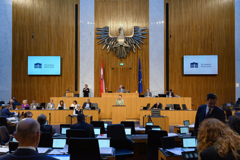 Am Rednerpult Nationalratsabgeordnete Olga Voglauer (GRÜNE)