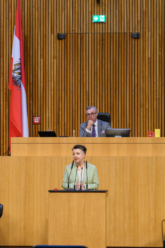 Am Rednerpult Nationalratsabgeordnete Olga Voglauer (GRÜNE)