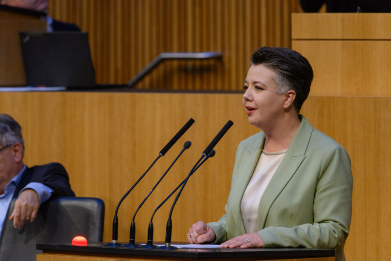 Am Rednerpult Nationalratsabgeordnete Olga Voglauer (GRÜNE)