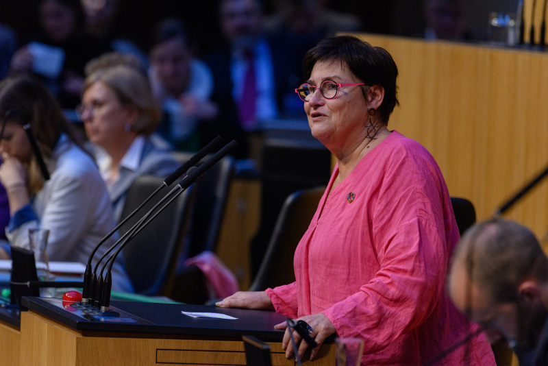 Am rednerpult Nationalratsabgeordnete Petra Bayr (SPÖ)