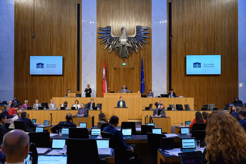 Am Rednerpult Nationalratsabgeordnete Henrike Brandstötter (NEOS)