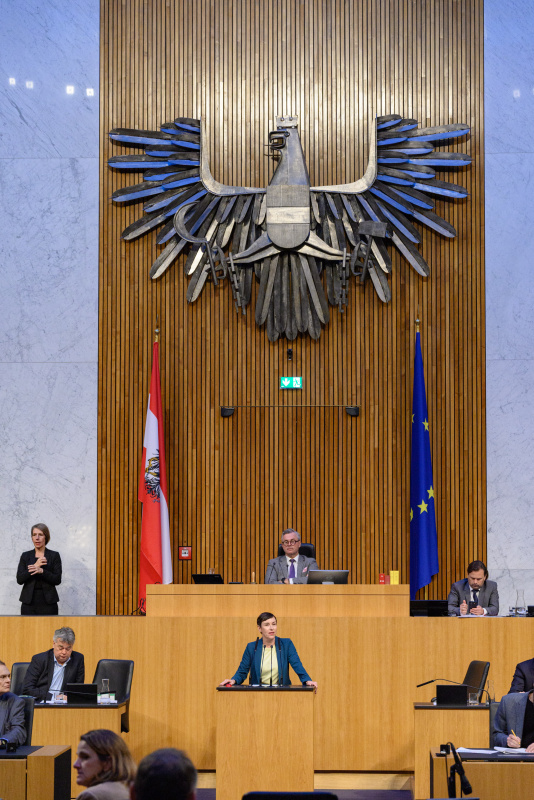 Am Rednerpult Nationalratsabgeordnete Henrike Brandstötter (NEOS)