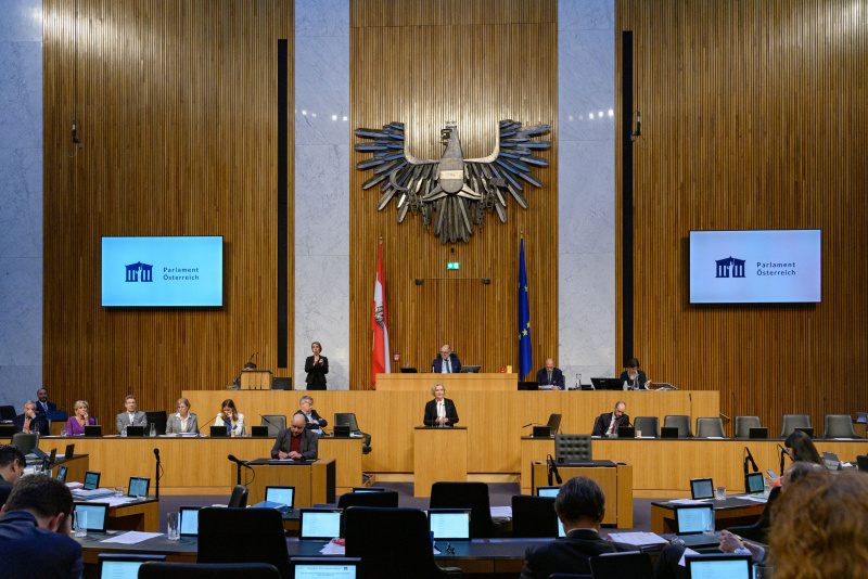 Am Rednerpult Nationalratsabgeordnete Karin Greiner (SPÖ)