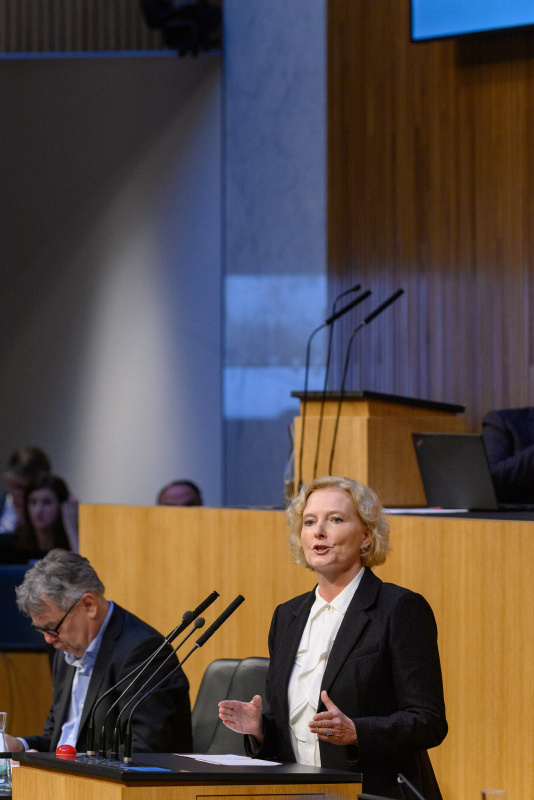 Am Rednerpult Nationalratsabgeordnete Karin Greiner (SPÖ)