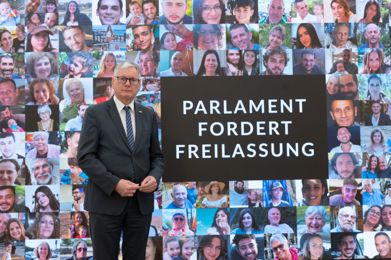 Nationalratsabgeordneter Alois Stöger (SPÖ)