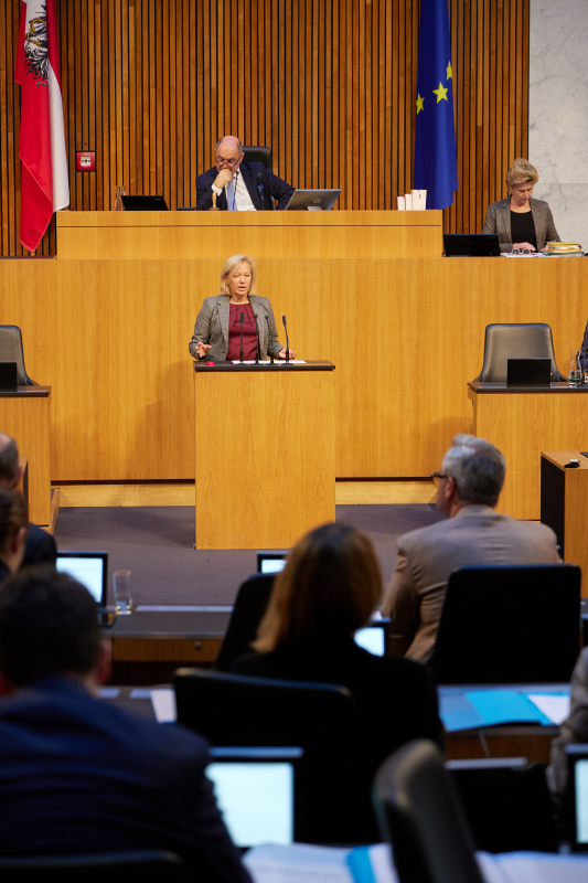 Am Rednerpult Nationalratsabgeordnete Verena Nussbaum (SPÖ)