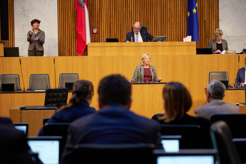 Am Rednerpult Nationalratsabgeordnete Verena Nussbaum (SPÖ)