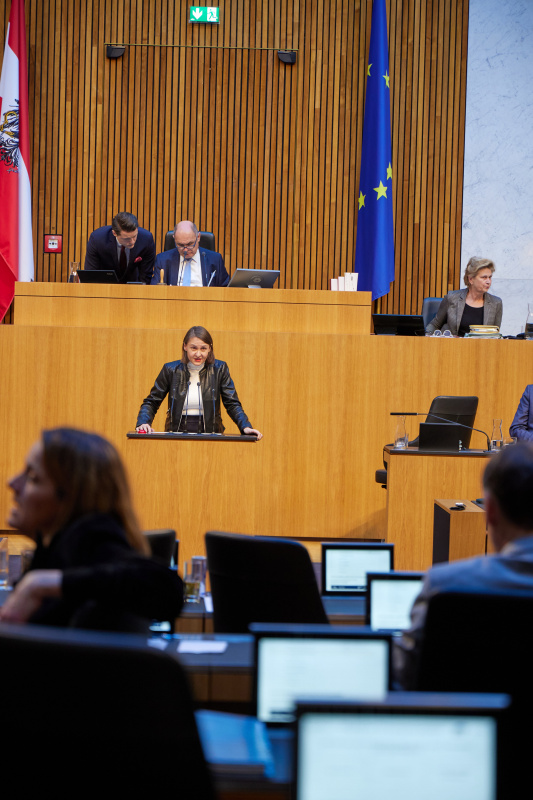 Am Rednerpult Nationalratsabgeordnete Katharina Werner (NEOS)